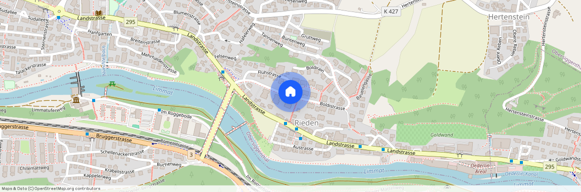 5415, Hertenstein AG, Boldistrasse