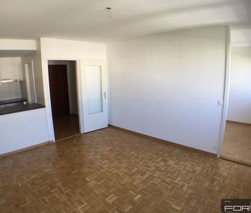 Appartement rénové de 2.5 pièces à Onex - Foto 5