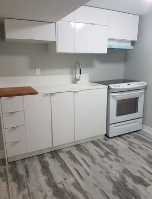 For Lease - 77 Murrie Street Unit# Lower, Toronto, Ontario - Photo 1