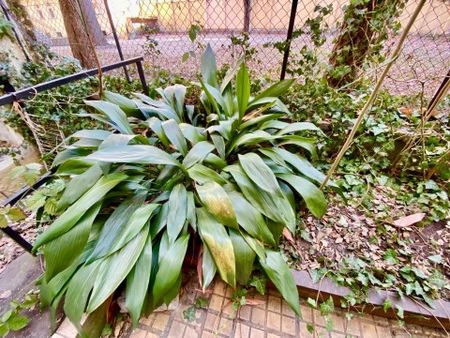 Apartment for rent in the VI. district. - Kmety György street - Fotó 5