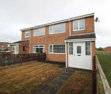 Austen Place, Stanley, DH9 - Photo 1