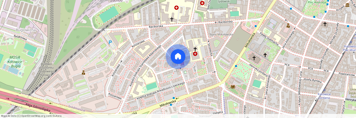ul. ks. kard. Bolesława Kominka, Śródmieście, Katowice, śląskie