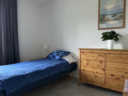 Björkgatan, Boden - Photo 3