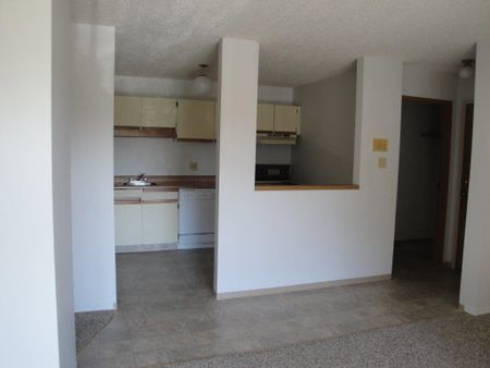 2 Bedroom Apartments – Lake Pointe Condos - Photo 3