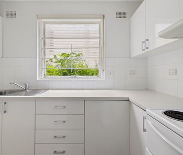 2/20 Alexandra Road, Glebe NSW 2037 - Studio For Rent | Domain - Photo 6