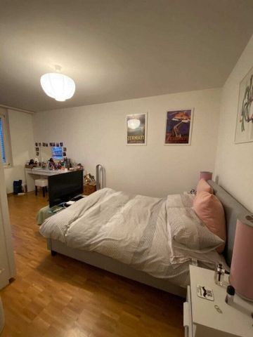 Stylish living in the heart of Basel, urban, green & comfortable - Photo 2