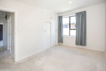 Marvelous in Marshlands - Photo 5