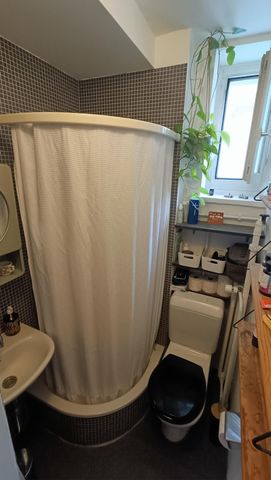 Gemütliche und zentrale Altbauwohnung – vorerst befristet: 31.3.2027 - Photo 5