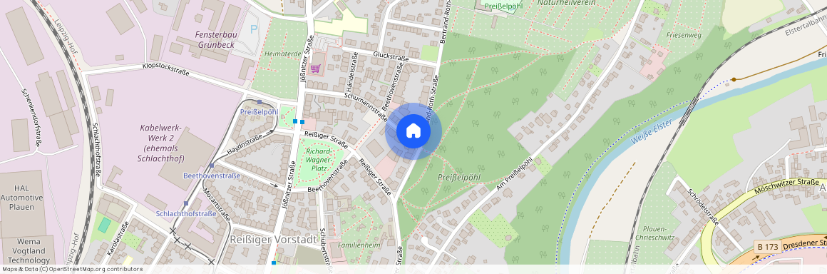 Schumannstraße 25, 08525, Plauen