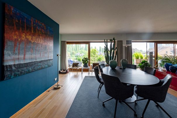 Ruim appartement met terras - Foto 1