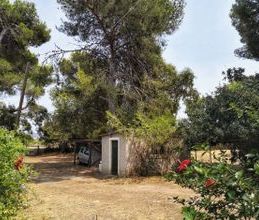 Συγκρότημα για ενοικίαση - Ασίνη, - Photo 6