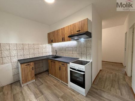 Pronájem bytu 2+1 54 m2 - Fotografie 3