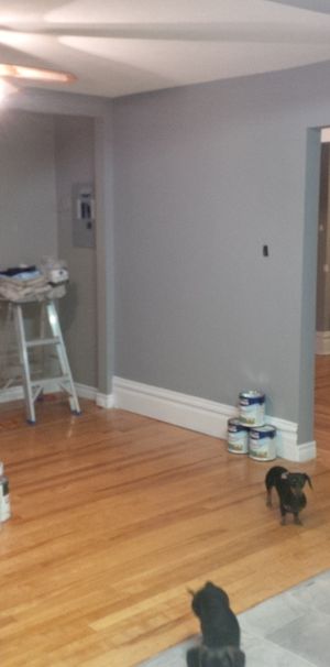 All-inclusive 900 sq ft Apartment (very near Downtown) - Photo 1