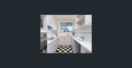 North Facing Apartment on Quiet Leafy Street in Prime Location - Photo 5