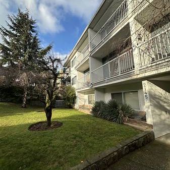 Bachelor apartment in the heart of Kitsilano - Photo 1