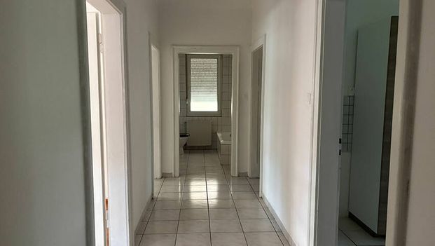 À louer : Appartement 3 pièces en rez-de-chaussée avec cave et jardin commun - Photo 1