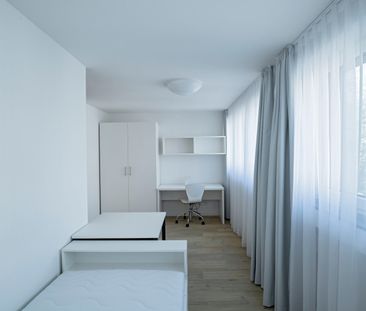 Möbliertes 1-Zimmer-Apartment sucht Bewohner auf Zeit - Foto 2