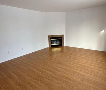 appât à louer - Photo 4