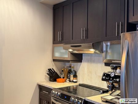 102-869, rue Saint-François-Xavier, Terrebonne (Terrebonne) à louer - Photo 5