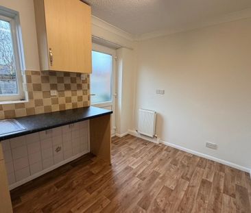 Blackthorn - Photo 6