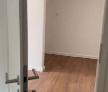 ERSTBEZUG: 2-3 Zimmer EG, 65 qm, Tiere, Parken, Feld, 890€ warm - Photo 1