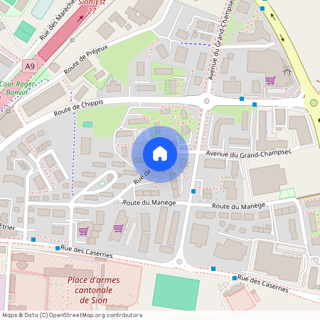 Rue de la Pelouse, 1950 Sion