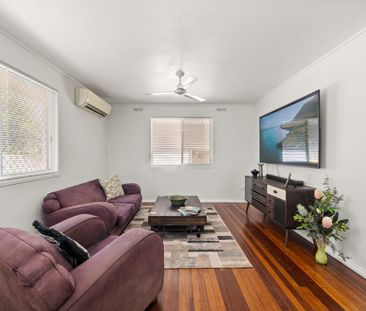 Freshly Renovated Home with Large Yard, Side Access & Mango Tree Qu... - Photo 2