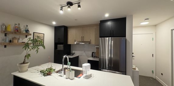 5 1/2 Saint-Hyacinthe - Photo 2