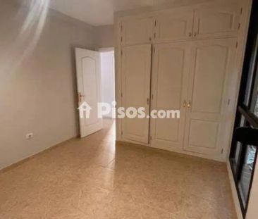 Piso en alquiler en Calle Pizarro - Foto 4