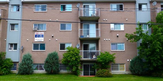 BEAU 4½|CHIENS ACCEPTÉS|TOUT INCLUS - Photo 3