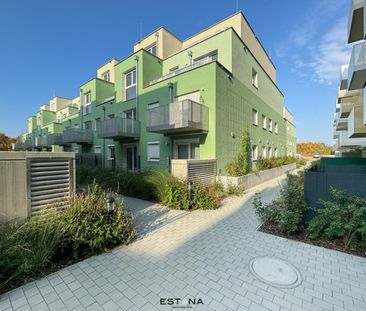 Wohnung in Ruhelage mit Balkon - Leberberg - Photo 1