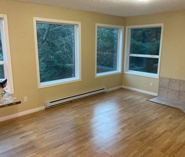 $2,100 (heat & hydro included) 2 bed + 1 bath Lower Suite - Photo 2