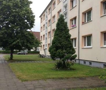 In Elbnähe wohnen. Bad mit Dusche. Balkon. Grüner Ausblick - Photo 1