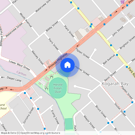 3 Hamer St, NSW 2217, Kogarah Bay