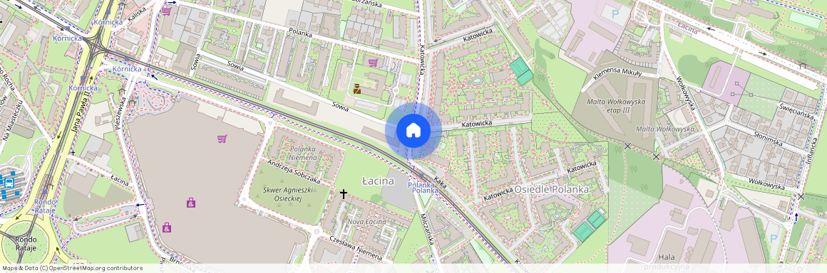 ul. Katowicka 55, Łacina, Nowe Miasto, Poznań, wielkopolskie