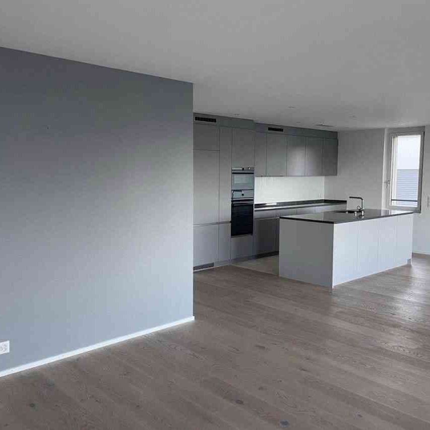4.5 Zimmer, 125 m², 2. Stock - Photo 1