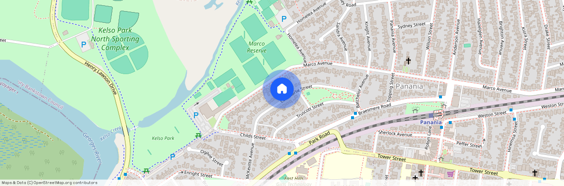 36 Cammarlie Street, 2213, Panania Nsw