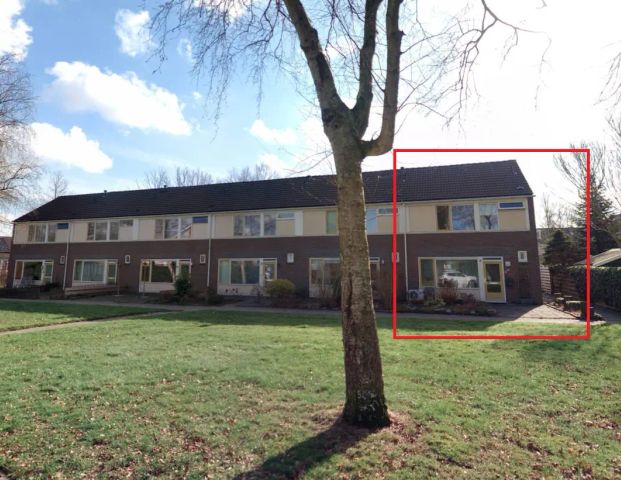 Maison d'angle Kastelenlaan 93, Roden - À louer - Foto 1
