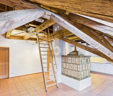 WITH VISIBLE BEAMS AND TILE STOVES! - Photo 4