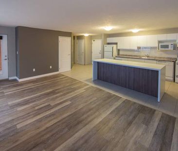 apartments at 1904 Paris Street - Photo 5