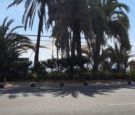 Ref. 46702 Alquiler de Lujo frente al mar- Luxury rent front the beach - Photo 6