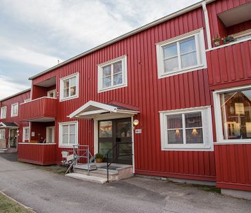 Öjagatan 49 C, 94331, Öjebyn - Photo 5