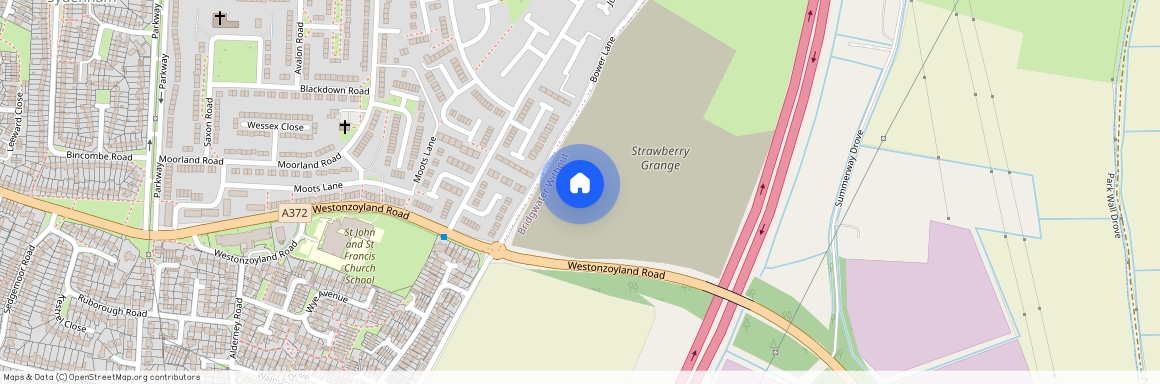 Goji Place, Bridgwater, TA6
