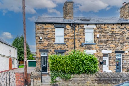 Hall Road, Handsworth, S13 - Photo 3