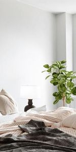 Castle Hill - Photo 3