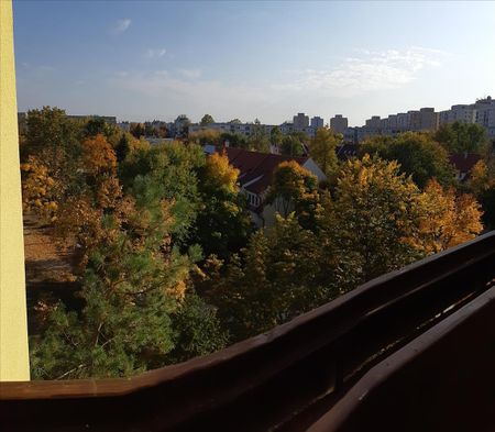 Kiadó jó állapotú lakás - Debrecen - Fotó 3