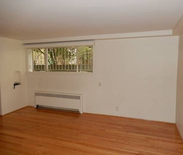 Studio Suite West of Denman - Photo 2