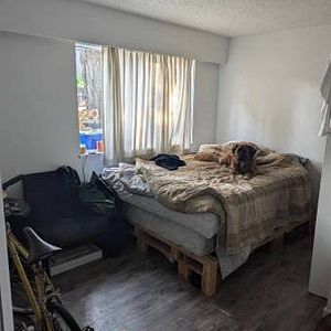 Full apartment 1bd in Vancouver. All INCL PET FRIENDLY - Photo 2