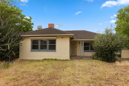 34 Minchington Road, Elizabeth North SA 5113 - House For Rent | Domain - Photo 2