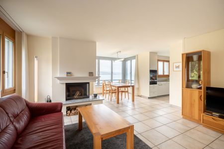 APPARTEMENT 31/2 PIÈCES À OBERRIEDEN (ZH), MEUBLÉ - Foto 2